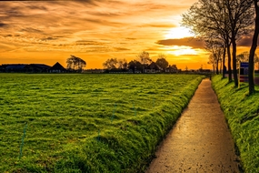 黄昏原野草地风景图片